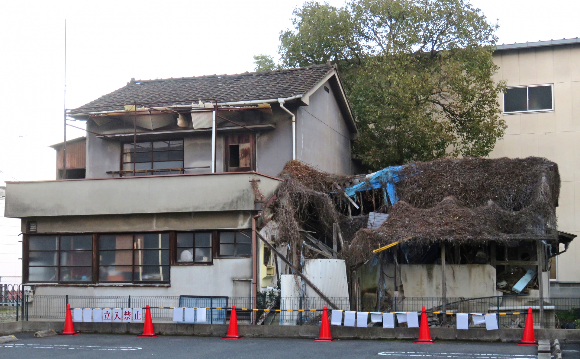 ゴミ屋敷の掃除にかかる費用相場は?自分で片付ける方法も解説