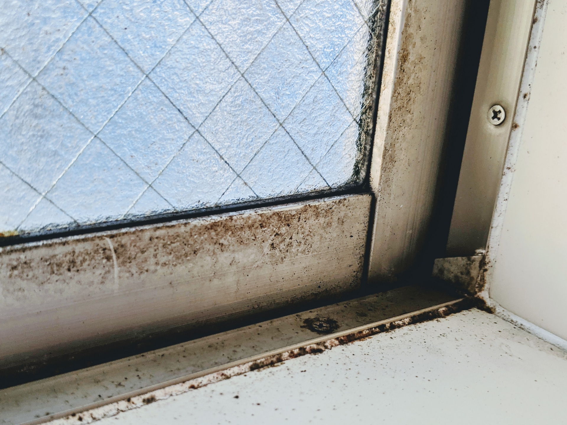 アルコールを使ったカビ対策|効果や掃除のやり方を紹介