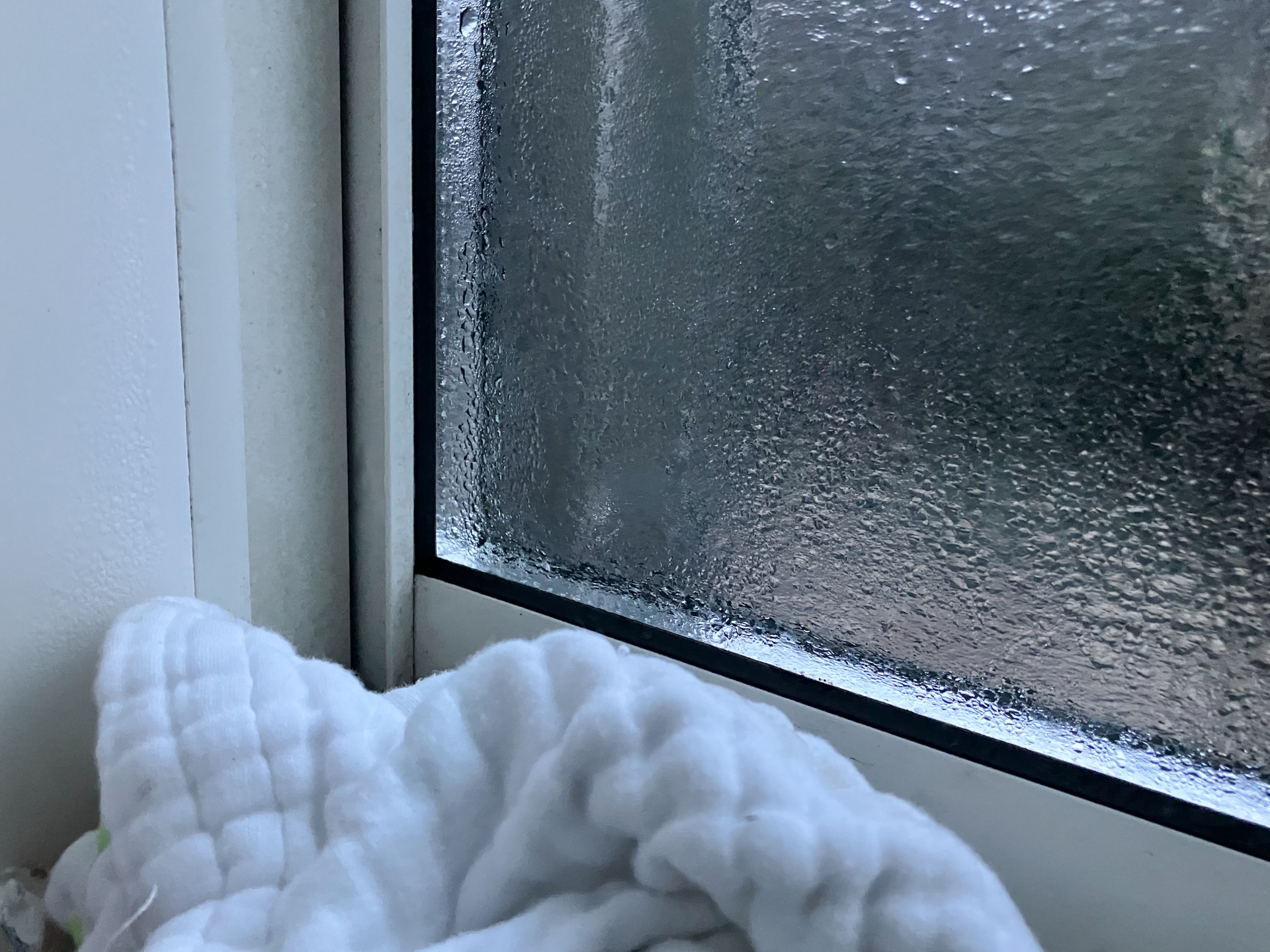 二重窓（内窓）の結露はなぜ起きる？内部結露の原因と対策を解説