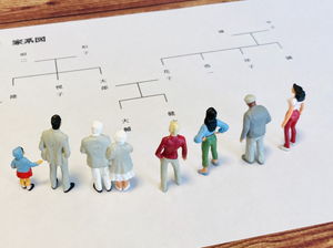 法定相続人とは?範囲や相続順位ごとの割合について詳しく解説